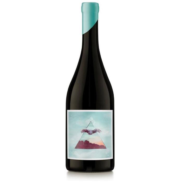 Nodo "Aire" Pinot Noir de Gualtallary 2023