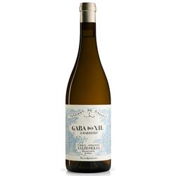 Saint Felicien Chardonnay Roble - Catena Zapata