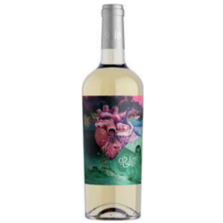 Pulso Viognier 2020 by Celina Fernandez & Julia Halupczok