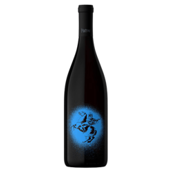 Pintom Sur Pinot Noir 2019 Magnum x1,5 Litros by Gabriel Dvoskin