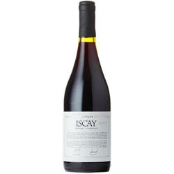 Trapiche Iscay Syrah - Viognier 2017 - 93 pts. Robert Parker