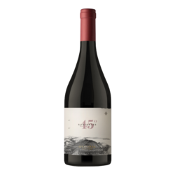 Otronia 45 Rugientes Pinot Noir 2019 Magnum x1,5 Litros - Chubut