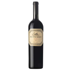 El Enemigo Malbec 2019 by Alejandro Vigil