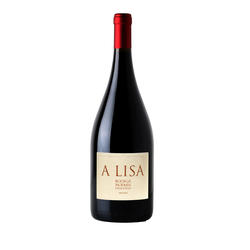 A Lisa Malbec 2019 Magnum x1,5 Litros - 93 pts. Robert Parker