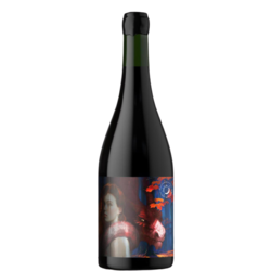 La Chica del Dragon Malbec - Cabernet Franc 2018 by Matias Michelini