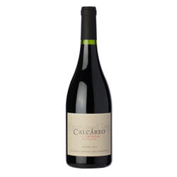 Calcareo Coluvio de Altamira Cabernet Franc 2020