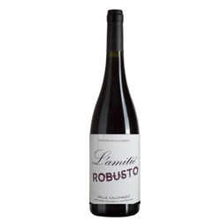 Lamitie Robusto Blend Tinto 2020 by Paco Puga - IGC Valle Calchaqui, Salta