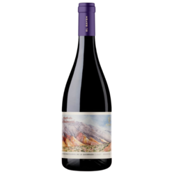 Pequeos Parceleros de la Quebrada Tinto de Maimara 2020 - Ultimas Botellas!