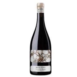 Solido Sauvignon Blanc - Semillon 2019 by Matias Michelini - 94 pts. Robert Parker