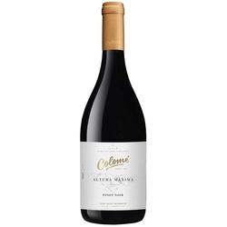 Colome Altura Maxima Pinot Noir 2021 - Salta 3111 msnm 