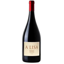 A Lisa Malbec 2022 by Bodega Noemia 