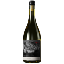 Finca la Catalina Chardonnay 2021 by German Masera - Proyecto Circulares