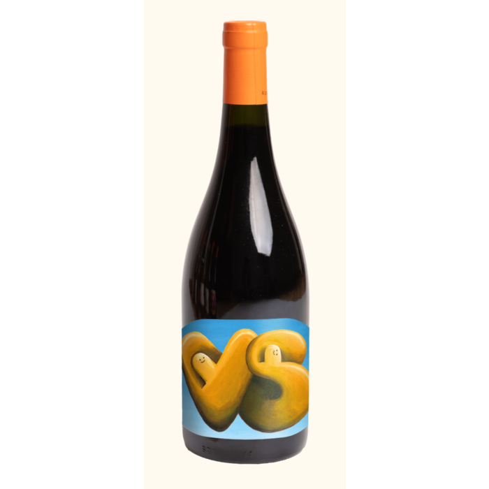 Pielihueso Tinto de Villa Seca 2023