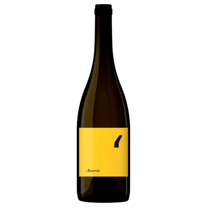 Asciende Prima Blanco 2023 - Paraje Hilario, San Juan 1550 msnm