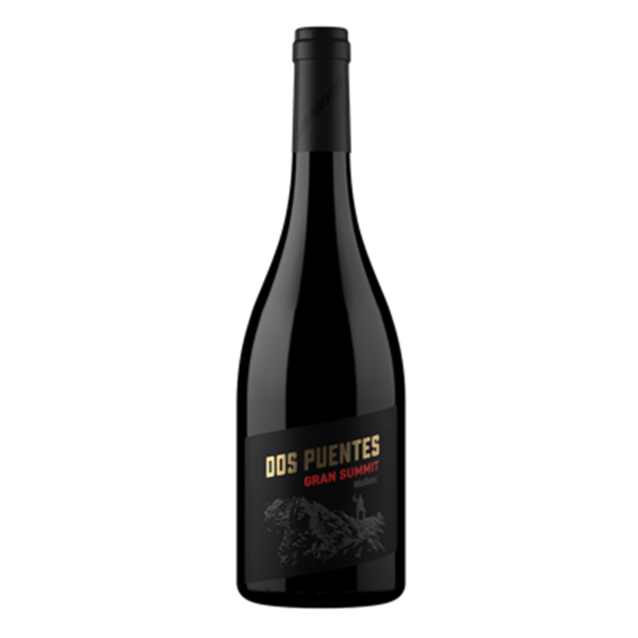 Gran Summit Malbec 2020 By Dos Puentes
