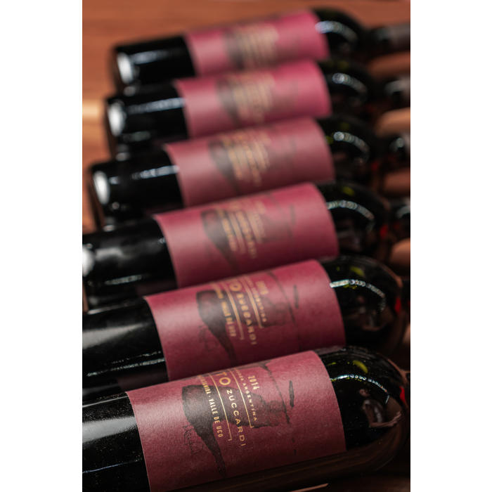 Coleccion Vertical Tito Zuccardi Paraje Altamira 2014 al 2019 - 6 AADAS