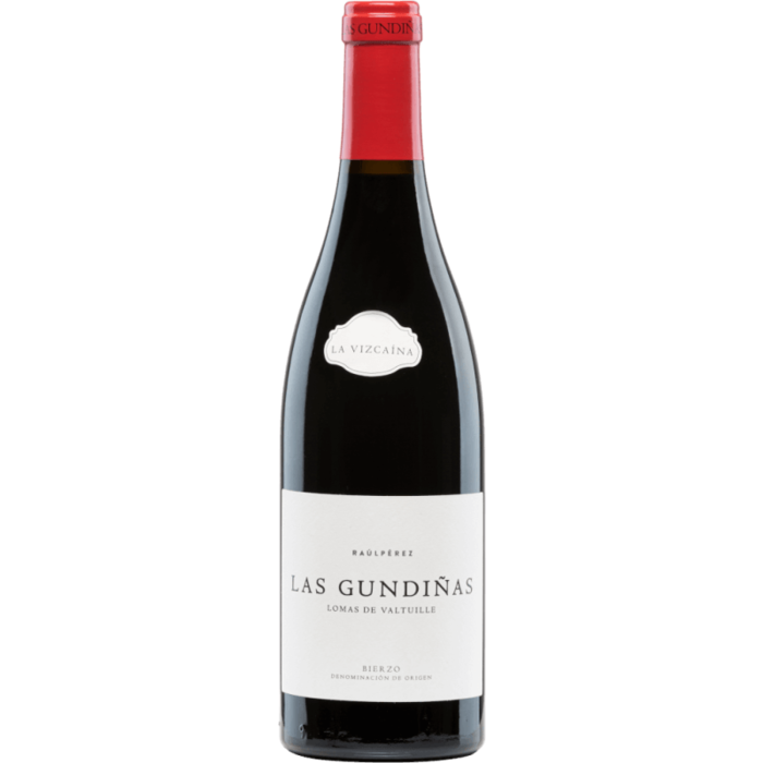La Vizcaina Las Gundias Mencia 2022 by Raul Perez - DO Bierzo, Espaa