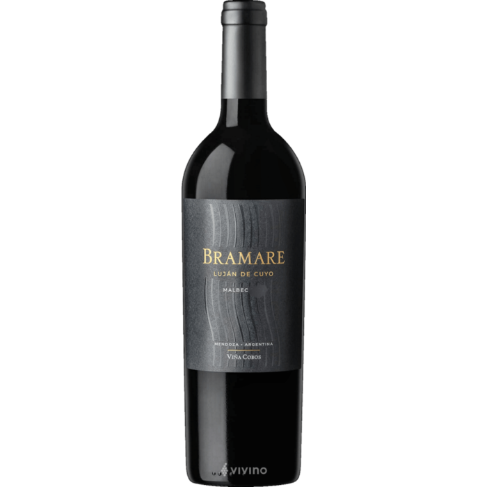 Bramare Lujan de Cuyo Malbec 2022 by Paul Hobbs