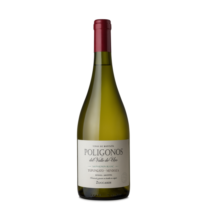 Poligonos del Valle de Uco Tupungato Sauvignon Blanc 2024