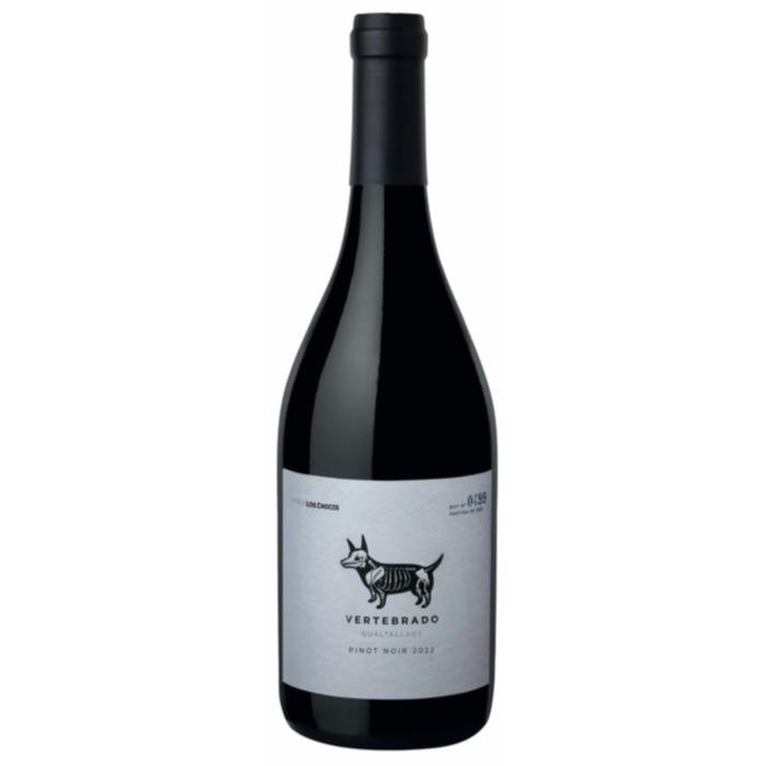 Vertebrado Pinot Noir 2022 by Via los Chocos