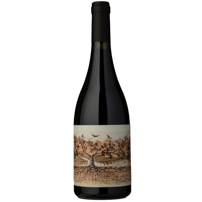 Almacen de la Quebrada Pucara Malbec 2019 by Alejandro Sejanovich & Diana Bellincioni