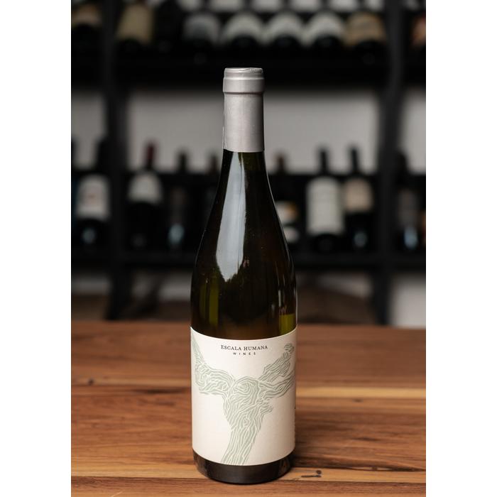 Livvera Semillon 2024 by German Masera - Novedad!