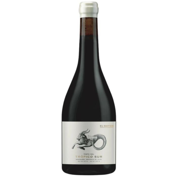 Tropico Sur Cabernet Franc 2023 by Bodega El Bayeh