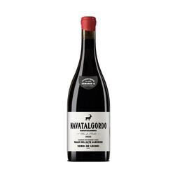 Comando G Navatalgordo 2023 DOP Cebrero, Espaa