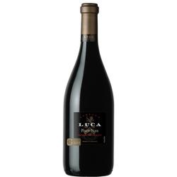 Luca G Lot Pinot Noir 2020 by Laura Catena - 94 pts. James Suckling