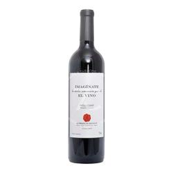 Imaginate Malbec 2024 by Arca Yaco