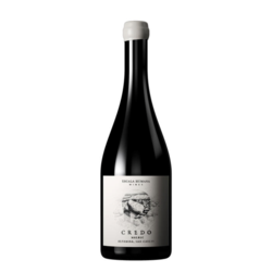 Credo Malbec Paraje Altamira 2022 by German Masera - Escala Humana