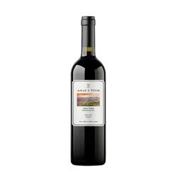 Amar y Vivir Malbec 2022 by Matias Etchart