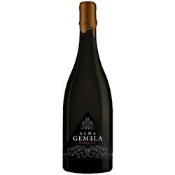 Alma Gemela Garnacha Chacayes 2019 - Onofri Wines