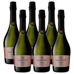 Caja x6 Salentein Brut Rose Cuvee Exceptionnelle - Espumante