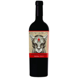 Piedra Liquida Malbec 2017 by Giuseppe Franceschini
