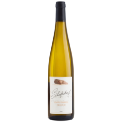 Schieferkopf Gewurztraminer Pfalz Trocken Sec 2022 - M. Chapoutier