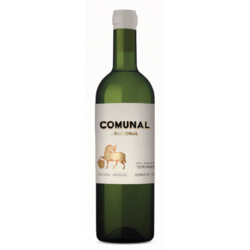 Comunal Blanco 2025 by Bodega Pastoral - 100% Semillon