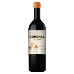 Comunal Tinto 2024 By Bodega Pastoral - 100% Malbec