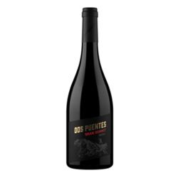 Gran Summit Malbec 2020 By Dos Puentes