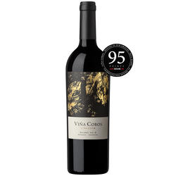 Vinculum Malbec 2019 by Via Cobos - 95 pts. James Suckling