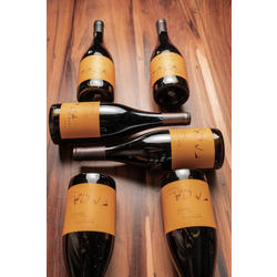 Coleccion Vertical Emma Zuccardi Bonarda 2013 al 2017 - 5 AADAS
