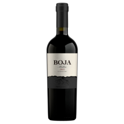 Boja Malbec 2022 - Finca 86 Tupungato Winelands