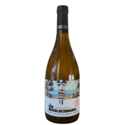 Via Revolucionaria Torrontes Brutal 2024 - Vino Naranjo