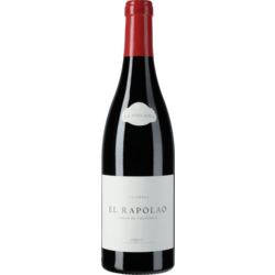 La Vizcaina El Rapolao 2022 by Raul Perez - DO Bierzo, Espaa
