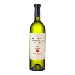 Imaginate Torrontes 2024 by Arca Yaco