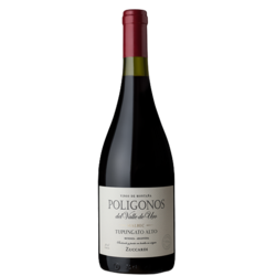 Poligonos del Valle de Uco Gualtallary Malbec 2019 - 94+ pts. Robert Parker