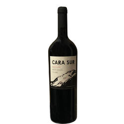 Cara Sur Tinto 2016 Magnum x1,5 Litros 