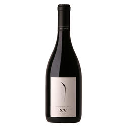 Pulenta Gran Pinot Noir 2019 -XV-