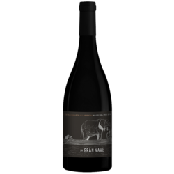 La Gran Nave Malbec 2019 by Gabriel Dvoskin