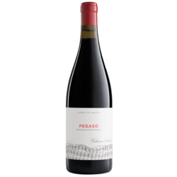 Pegaso Barrancos de Pizarra Garnacha 2020 - Sierra de Gredos, Espaa